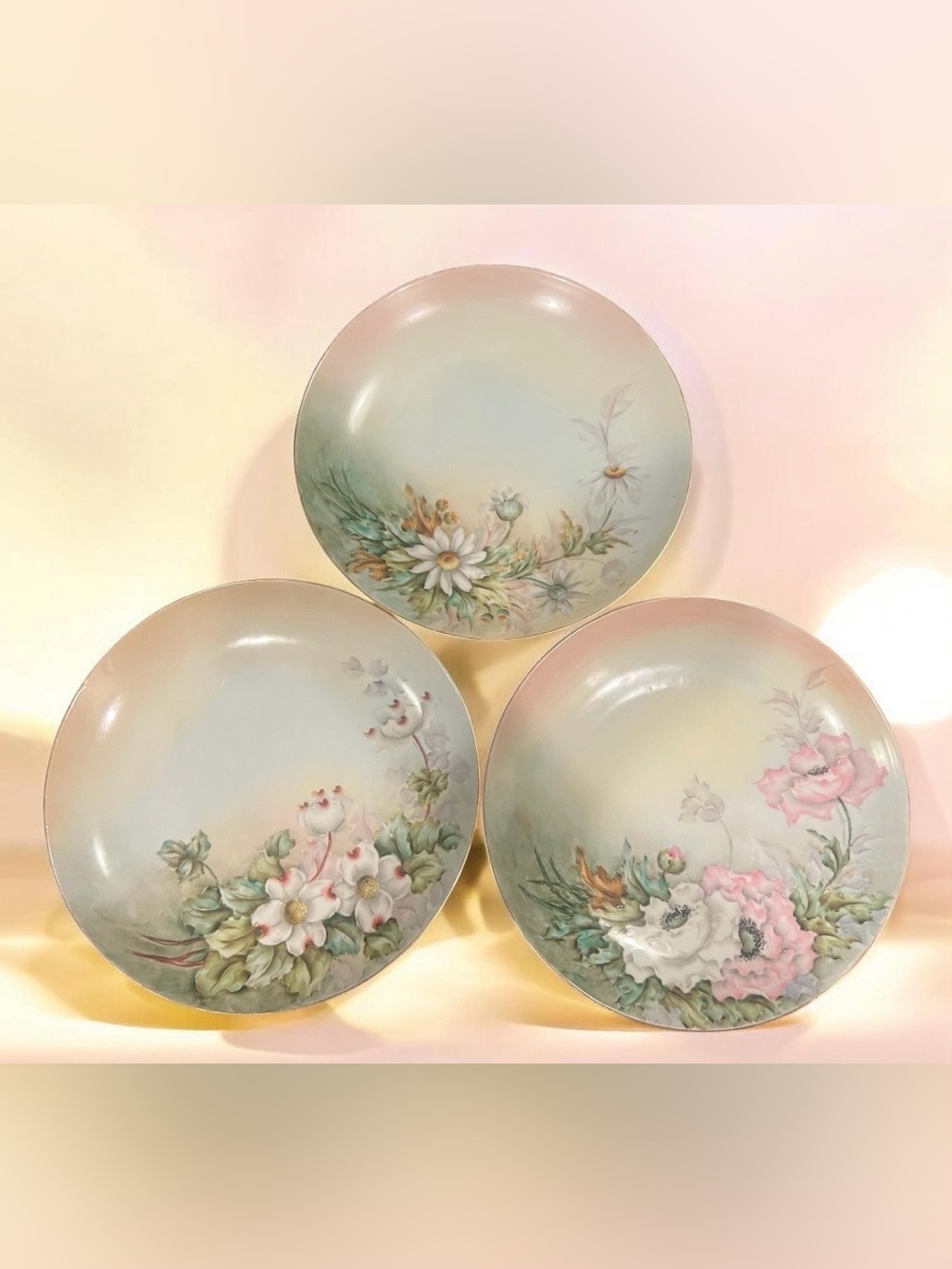 three 1900 antique hand-painted floral porcelain plates from Austria.